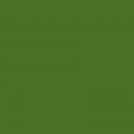 AMB Solids 24 Olive