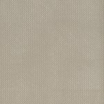 5000-010.netorious.cloud.silver